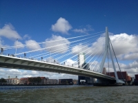 12 Erasmus bridge.JPG